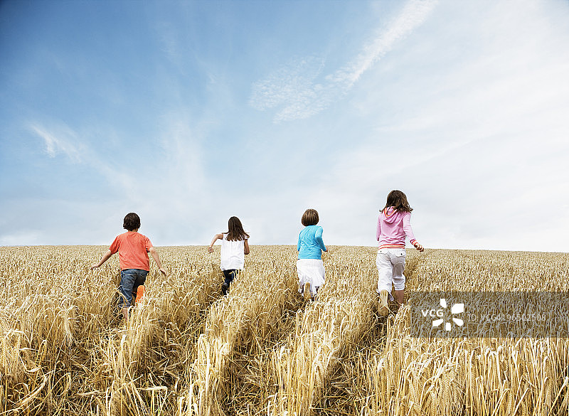 走在麦田里的男孩和女孩们图片素材