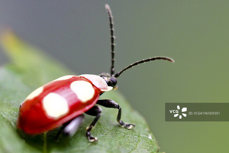 在边缘上图片素材