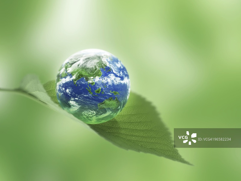 树叶上的地球图片素材