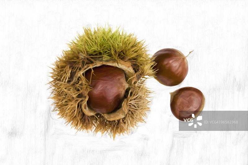 白色背景上的栗子图片素材