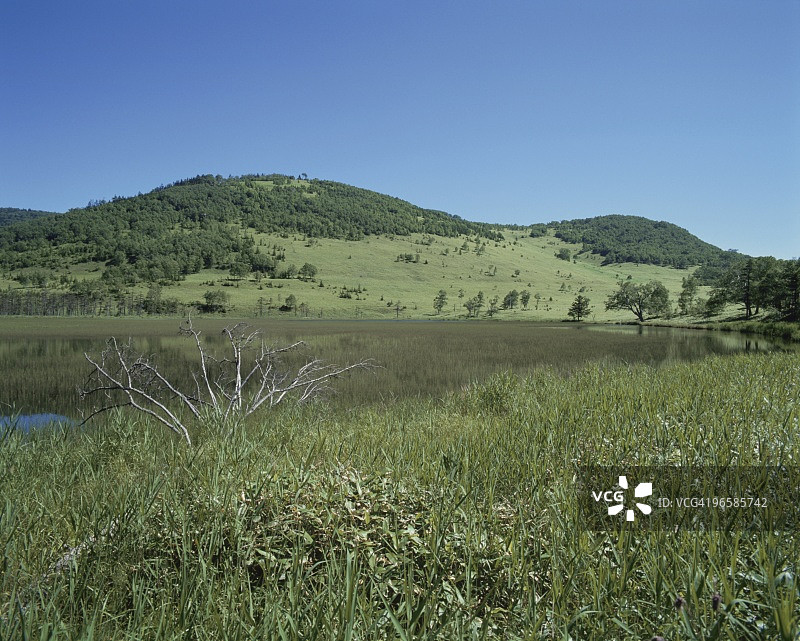 夏季日本北海道上士幌町的篠野目湖图片素材