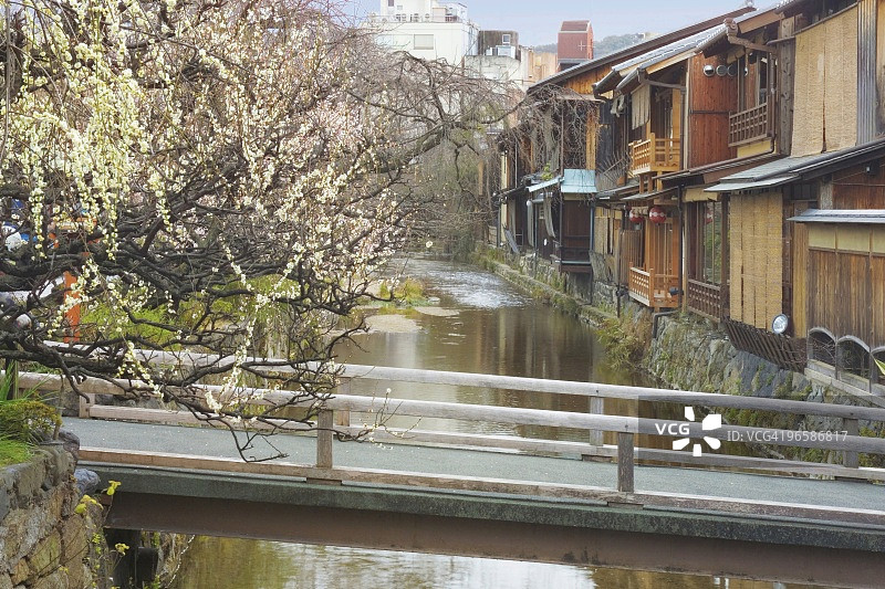 流经日本京都祇园的白川图片素材
