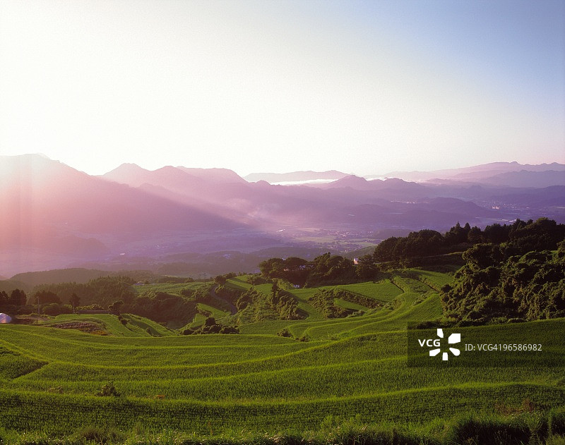日本佐贺县稻田图片素材