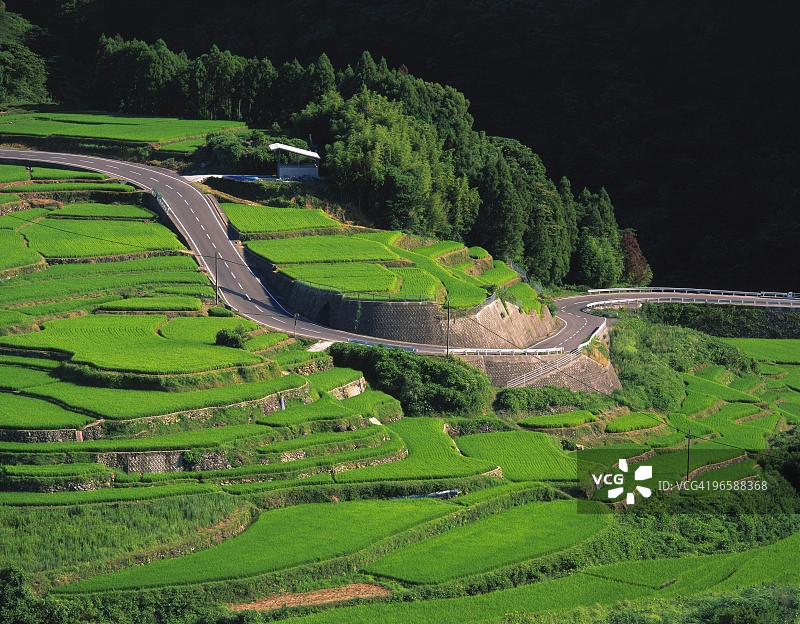 日本九州佐贺县水稻梯田图片素材