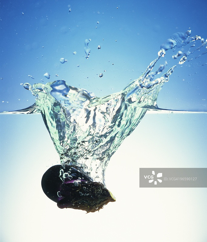 水中茄子，白色背景图片素材