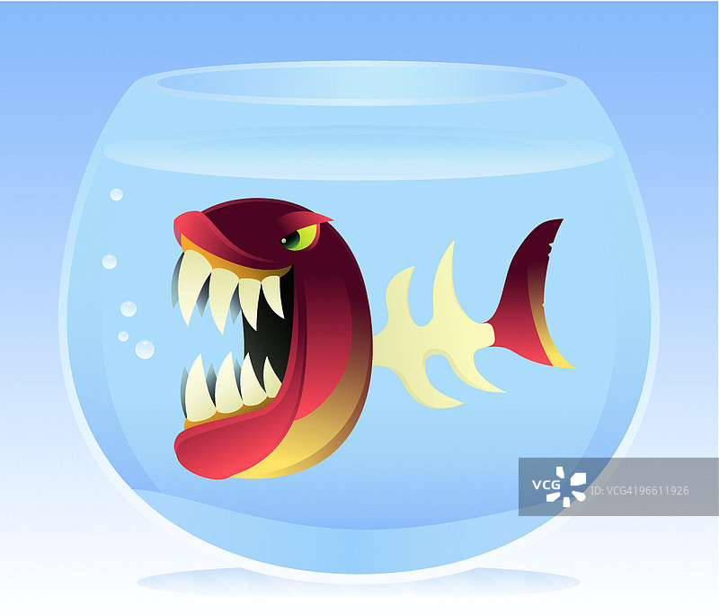 愤怒的骨骼鱼图片素材