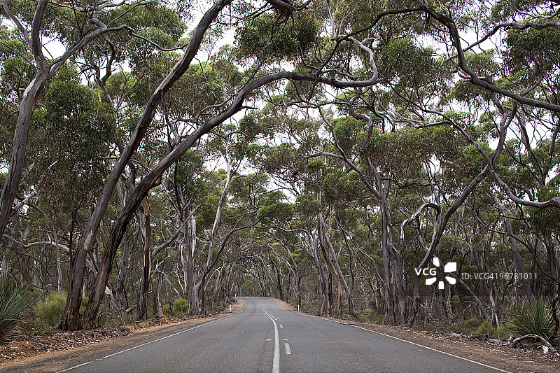 澳大利亚弗林德斯蔡斯国家公园图片素材