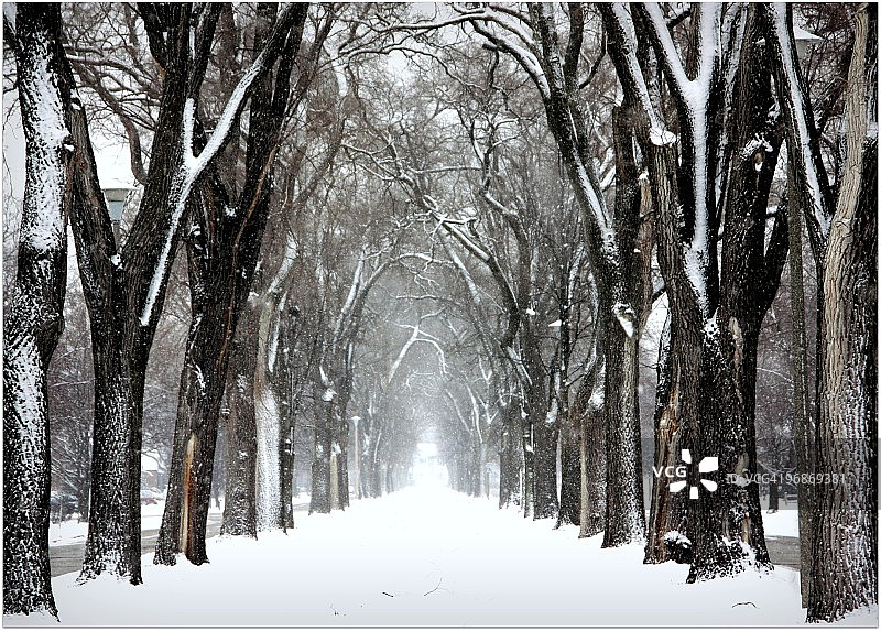 三面雪路图片素材