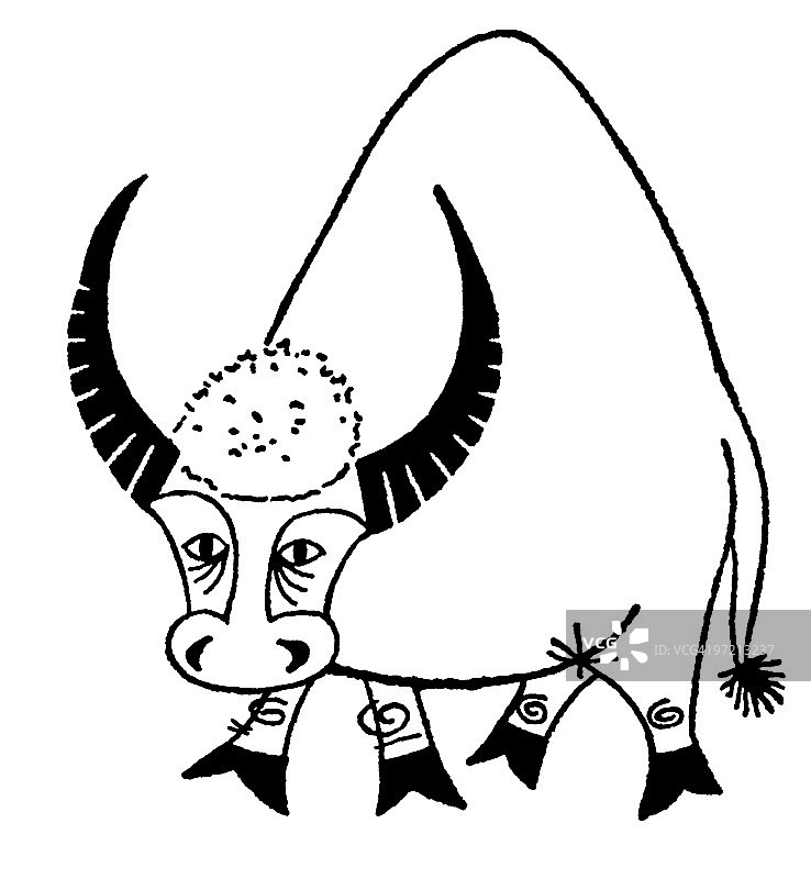 小公牛图片素材