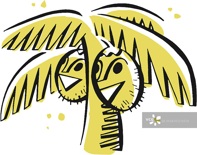 棕榈树上的两个椰子图片素材