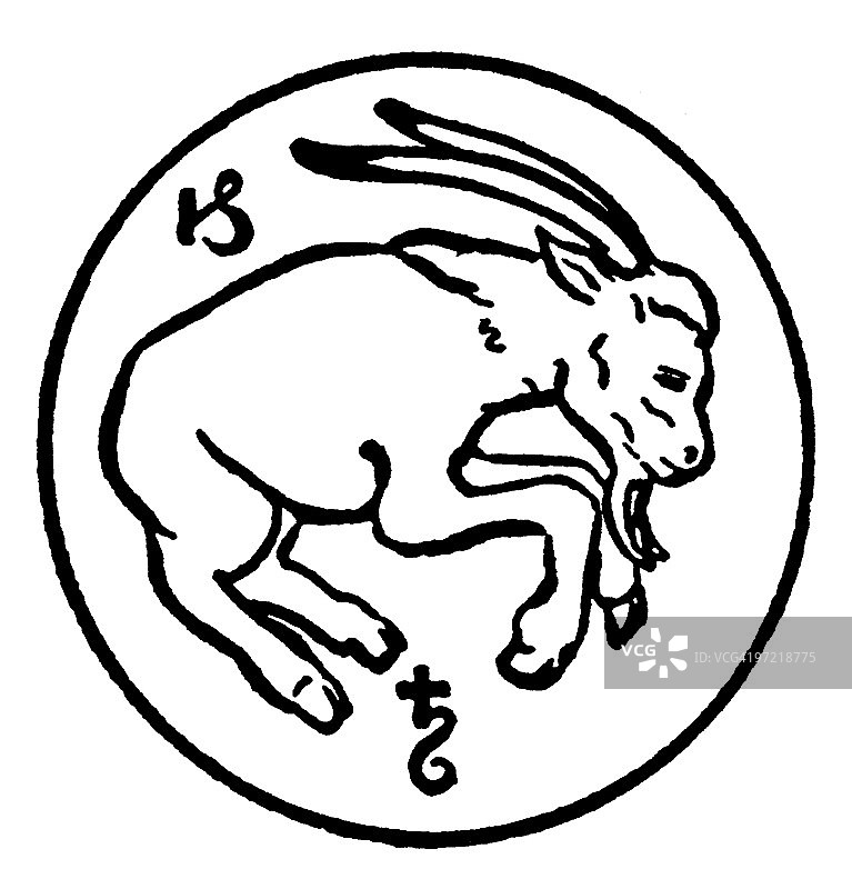 摩羯座图片素材