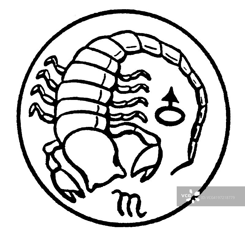 天蝎座图片素材
