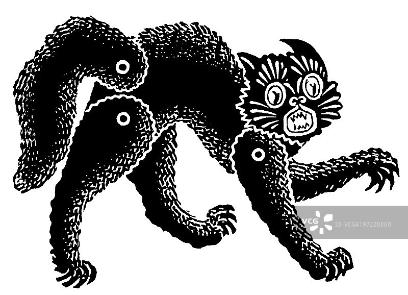 猫图片素材