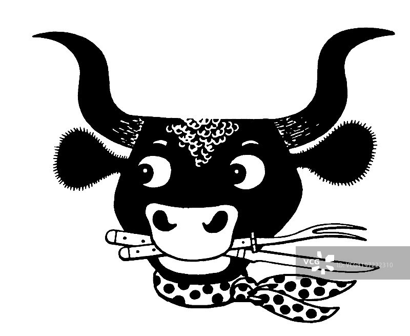 小公牛图片素材