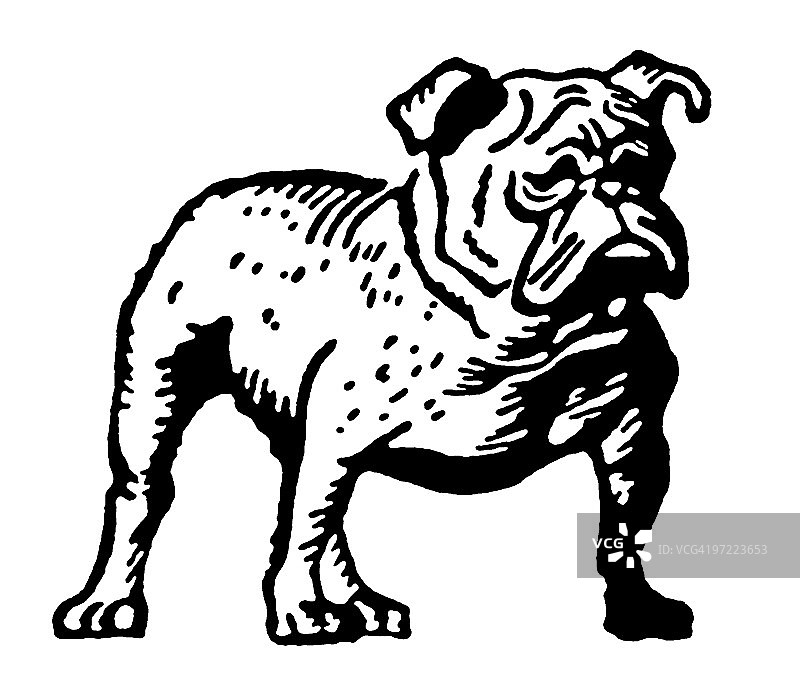 狗图片素材