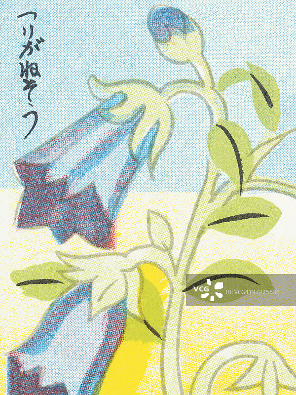 花图片素材