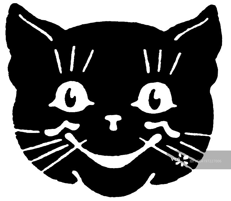 猫图片素材