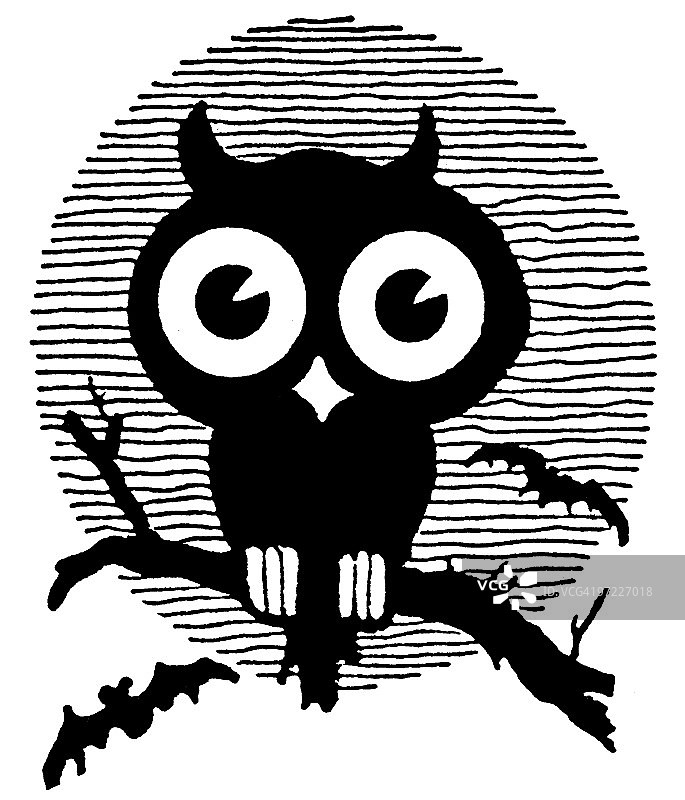 猫头鹰图片素材