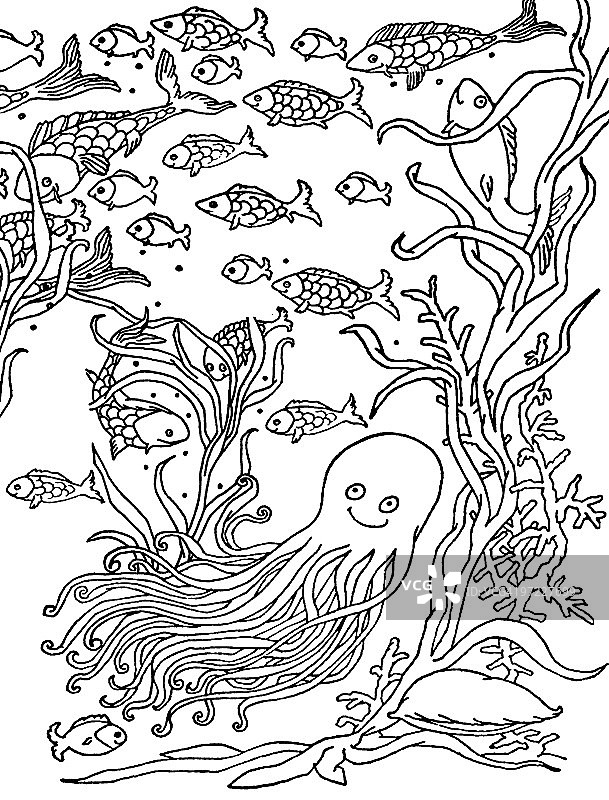 海底生物图片素材