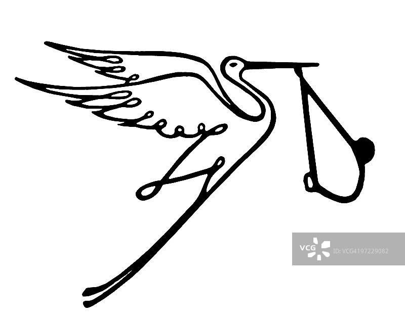 带有幼鸟的鹳图片素材