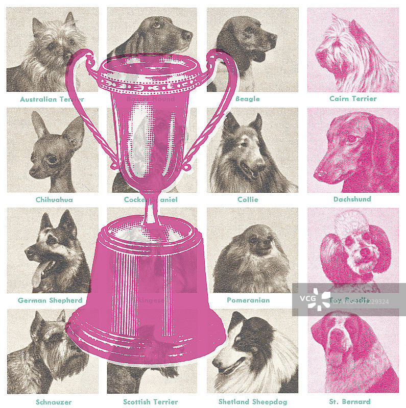 犬类展览奖杯图片素材