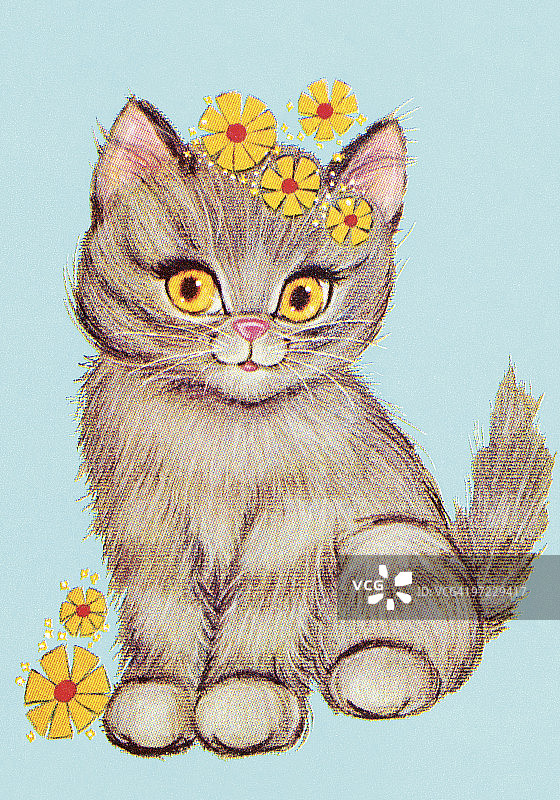 小猫图片素材