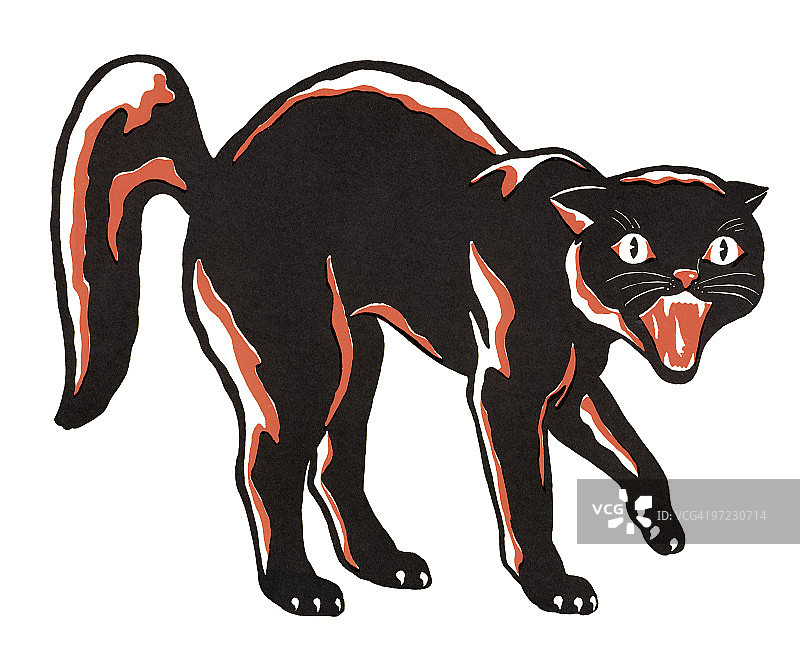 黑色的猫图片素材