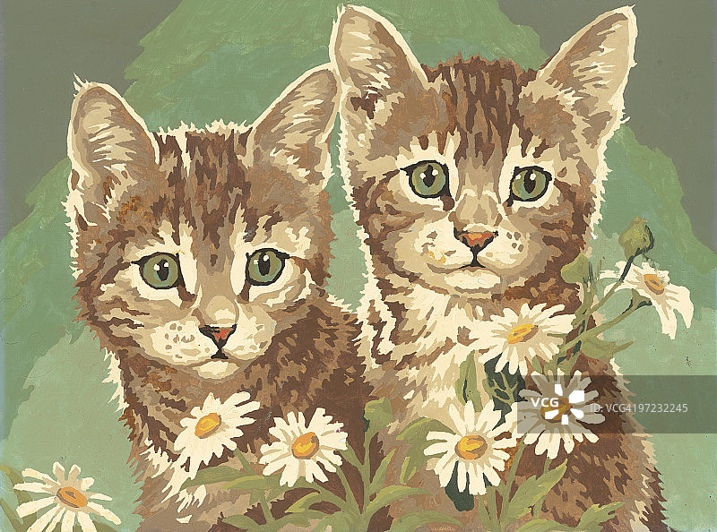 两只小猫。图片素材