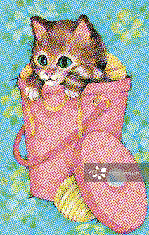 小猫图片素材