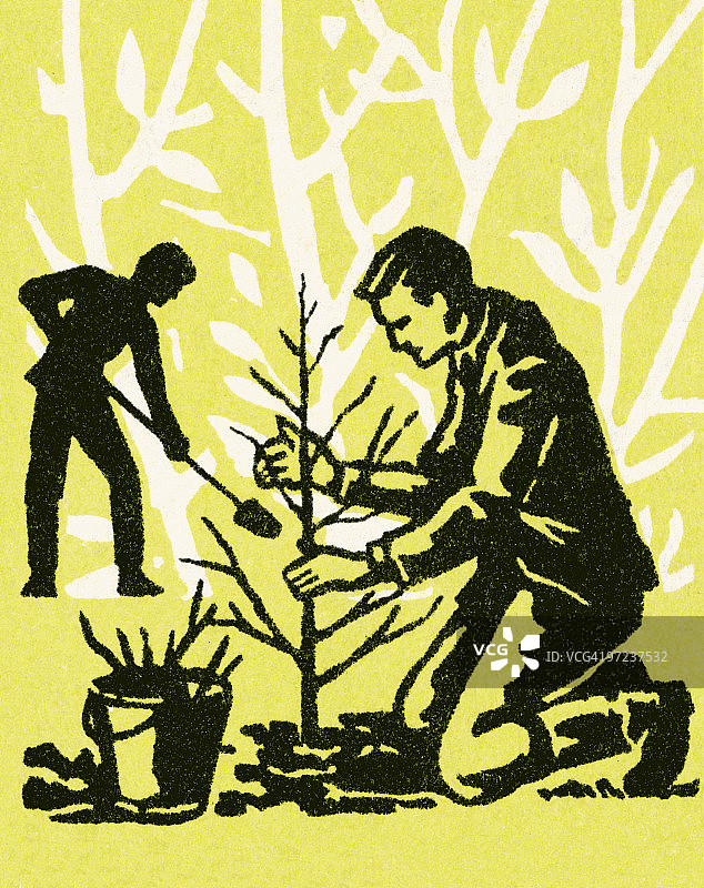 种植树木图片素材