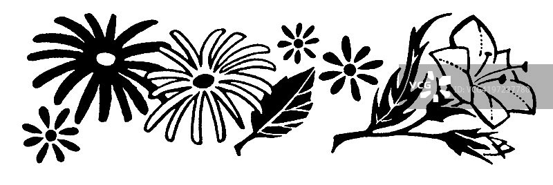 花图片素材