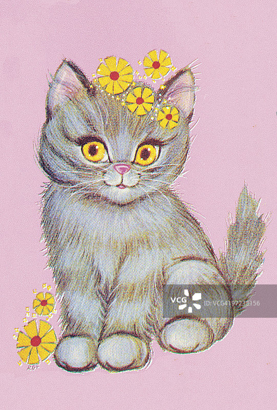 小猫图片素材