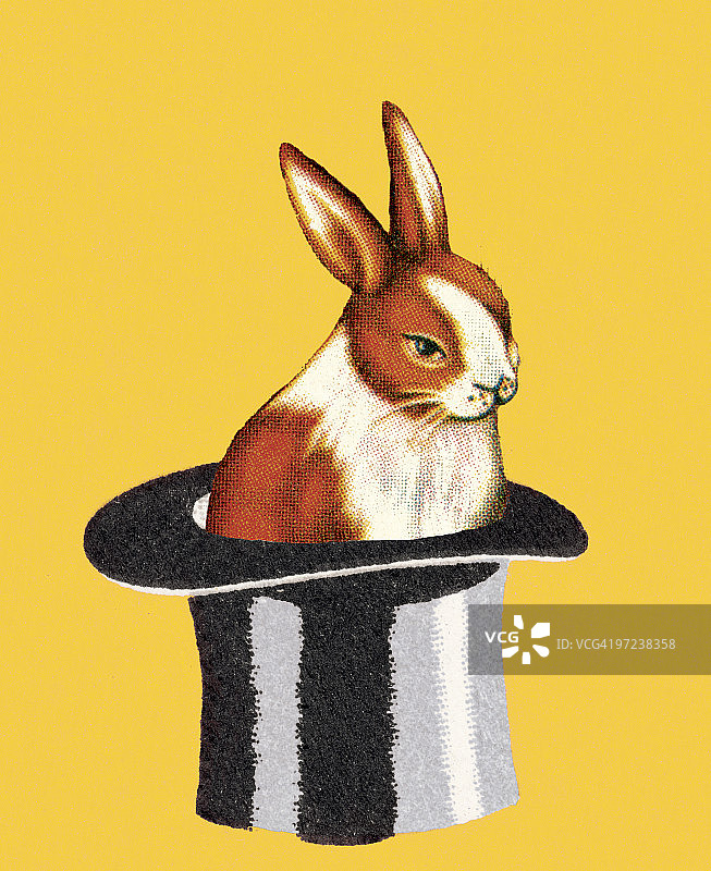 魔术师帽子里的兔子图片素材