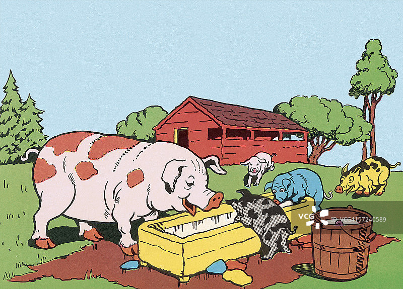 食槽旁的猪图片素材