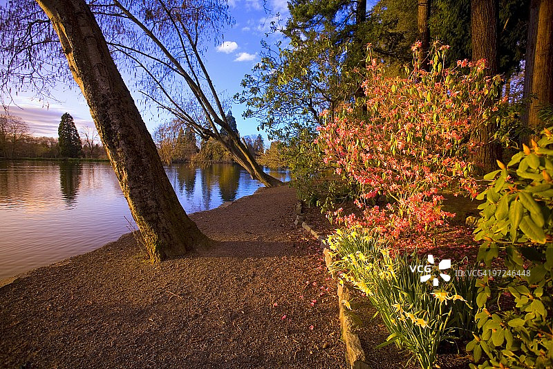 美国俄勒冈州波特兰池塘的日落倒影图片素材