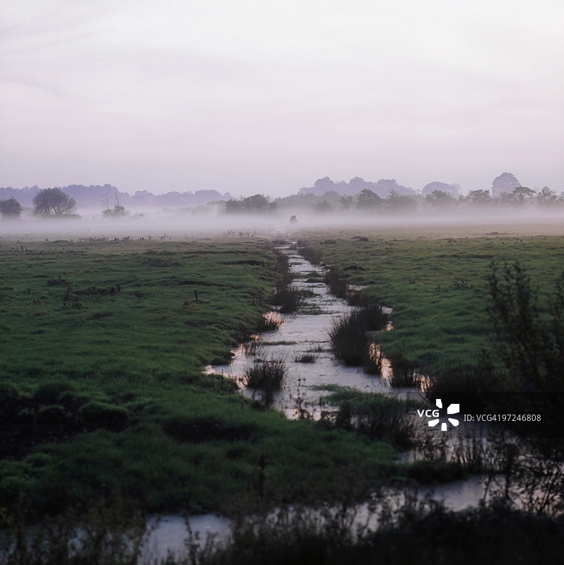 北爱尔兰阿马郡沼泽和水沟图片素材