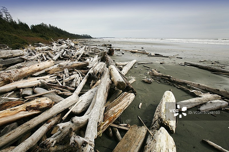 加拿大不列颠哥伦比亚省温哥华岛太平洋沿岸国家公园长滩图片素材