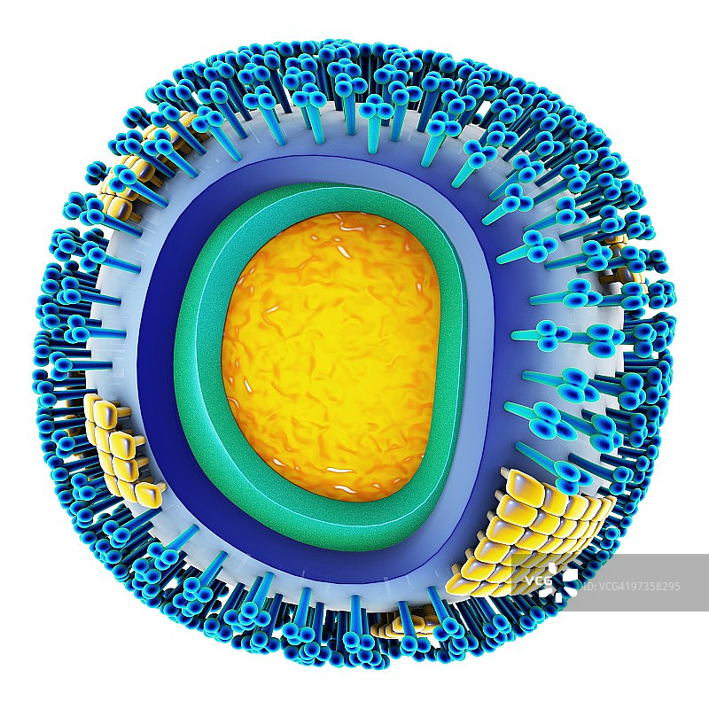 H1N1流感病毒颗粒，艺术作品图片素材