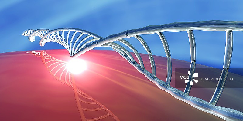 DNA分子、艺术品图片素材