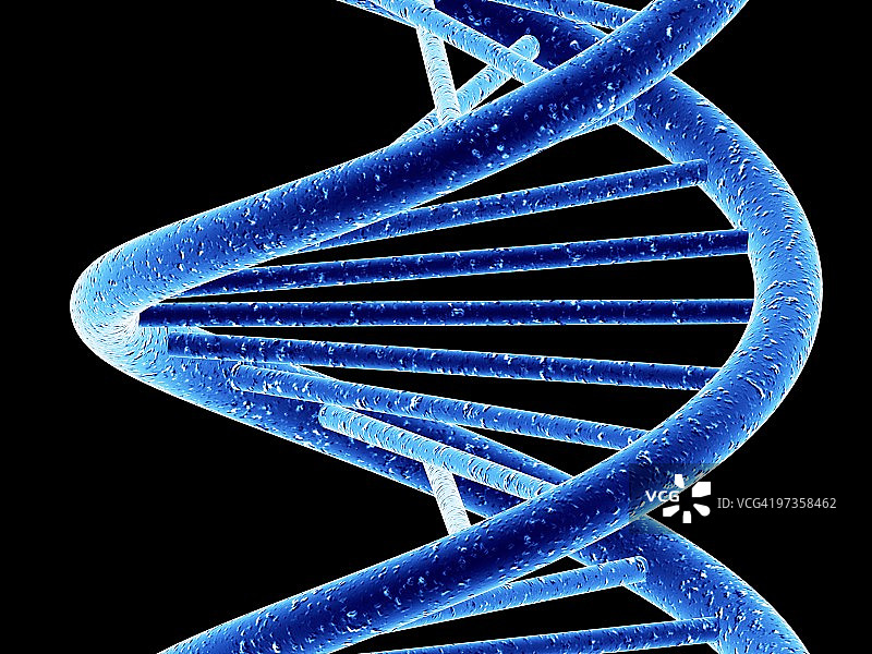 DNA分子、艺术品图片素材
