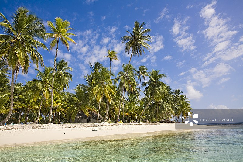 库纳雅拉群岛的狗岛，巴拿马，中美洲图片素材
