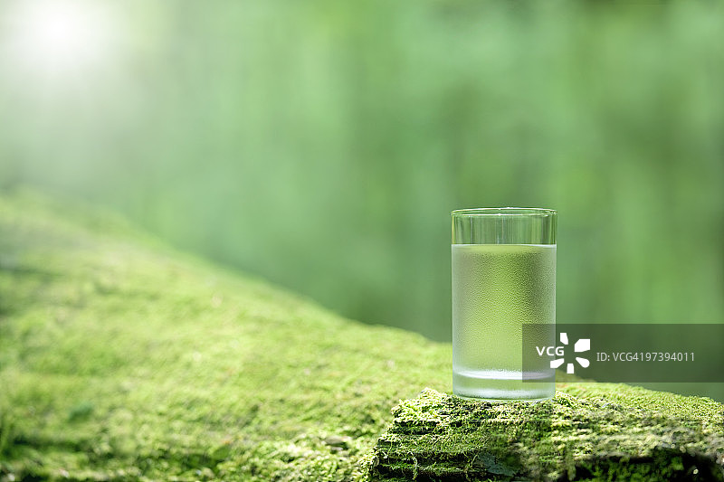 苔藓上的水杯图片素材
