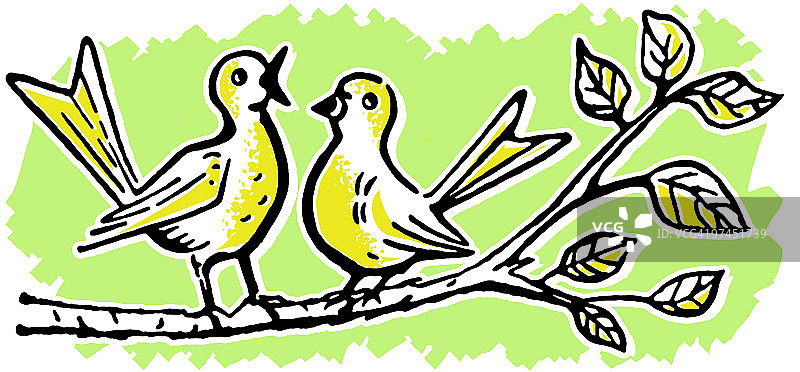 两只鸟在树枝上唱歌图片素材