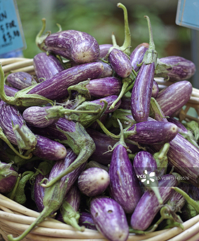 亚洲茄子图片素材