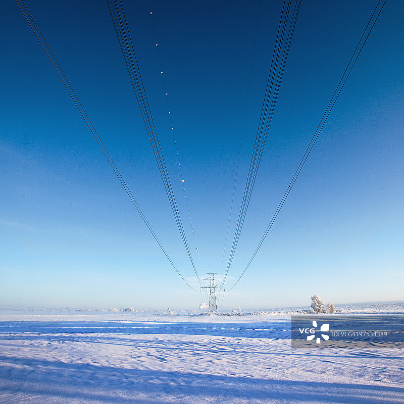 冬季景观中的电力线图片素材