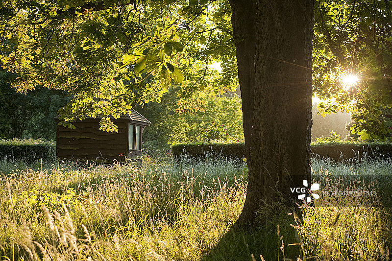 田野日落图片素材