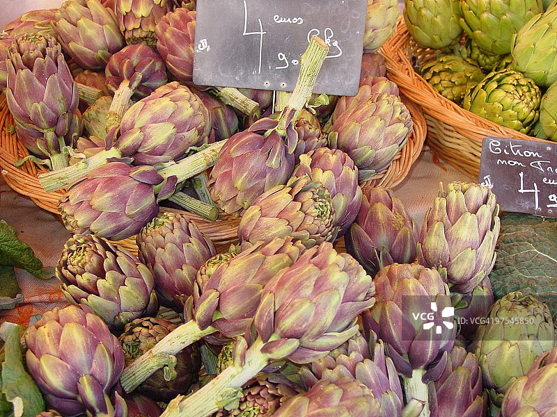 尼斯市的紫色洋蓟图片素材