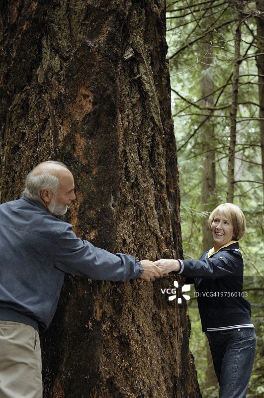 情侣合抱一棵大树图片素材