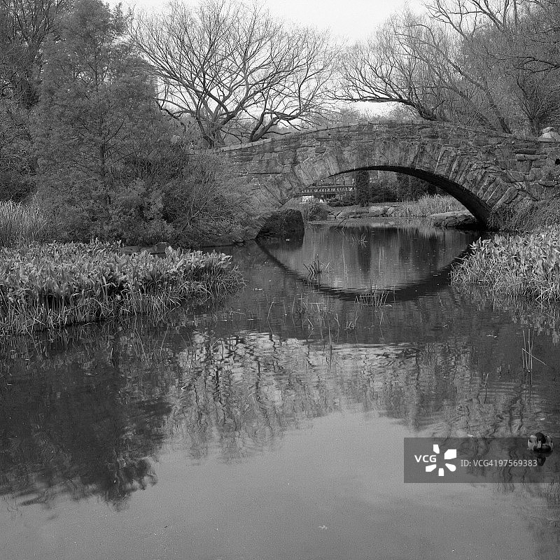 盖普斯托桥 - 纽约中央公园图片素材