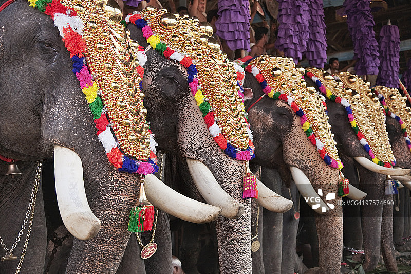 装饰过的大象雕塑图片素材